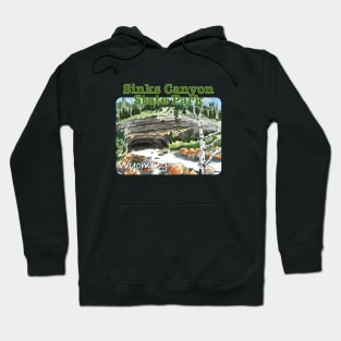 Sinks Canyon State Park, Wyoming Hoodie